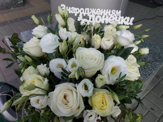 Чоловік-моряк влаштував дружині та малюку неймовірну виписку з рівненського пологового. ВІДЕО