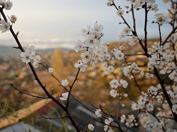 Погода у Луцьку на завтра, 27 квітня 