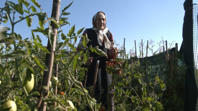 У свої 100 років  вирощує городину та готує рідним соління: волинянка відзначила поважний ювілей. ВІДЕО 