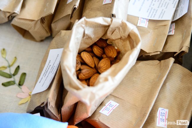 У луцькому «Промені» відбувся масштабний захід із гаслом «еко». ФОТО