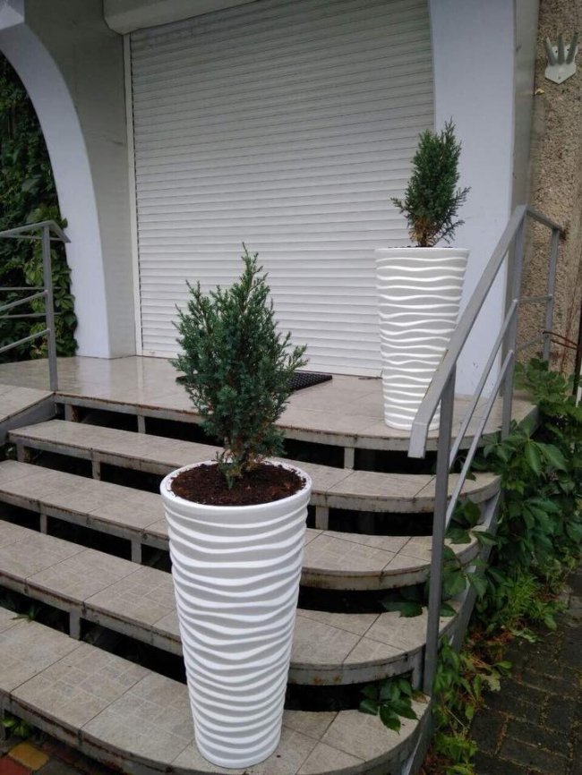 У центрі Луцька невідомі викрали гігантський горщик для рослин. ФОТО