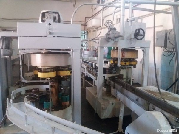 На Волині суничний бум – замість чорниці люди збирають «ягоду сонця». ФОТО