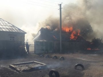 На Харківщині лісова пожежа повністю знищила село. ВІДЕО