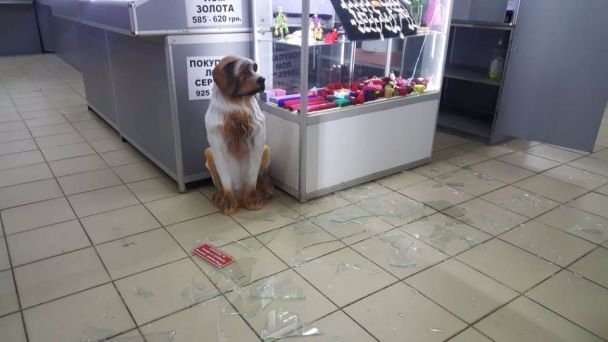 У Миколаєві зухвало пограбували ювелірний магазин. ФОТО