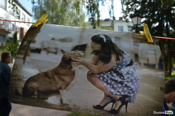 Фото на мотузках: у Луцьку стартувала мистецька «Сушка». ФОТО  
