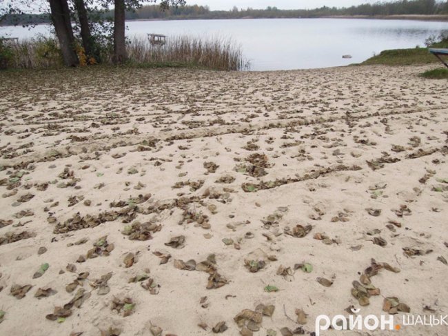 Безлюддя і човни з водою: волинське озеро восени. ФОТО