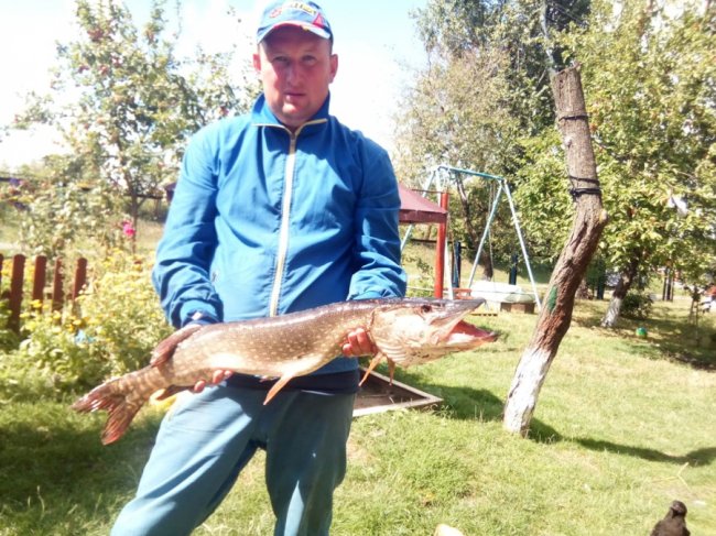 Майже 7 кілограмів і метр завдовжки: волинянин похизувався величезним уловом