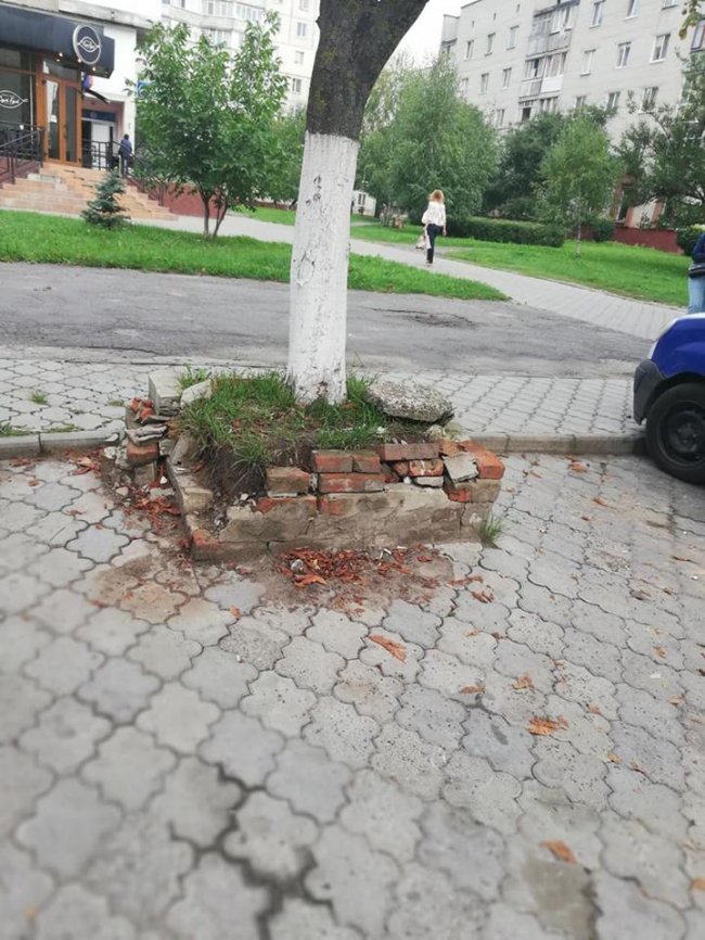 Безлад і зупинка без скла: лучани обурені роботою комунальників. ФОТО