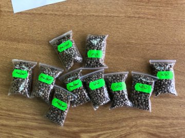 Волинянин поштою намагався розіслати насіння коноплі у різні країни світу. ФОТО