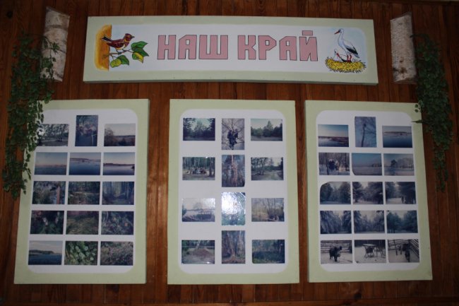 Дари лісу  і «тепло» в брикетах: показали, як успішно працює волинське підприємство. ФОТО