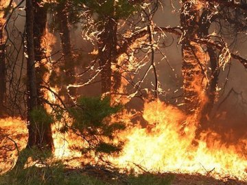 На Волині – найвищий клас пожежної небезпеки