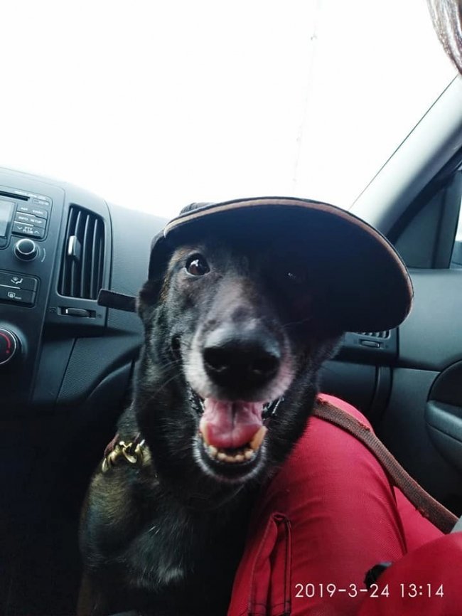 Дивовижний порятунок: жінка три дні просиділа в закинутому колодязі. ВІДЕО