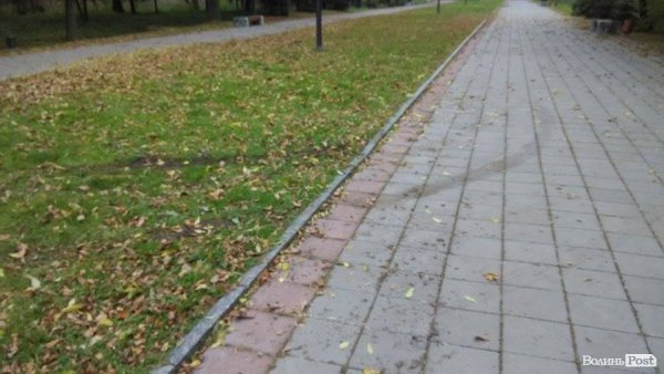 «Автовандали» понищили газон у центральному парку Луцька