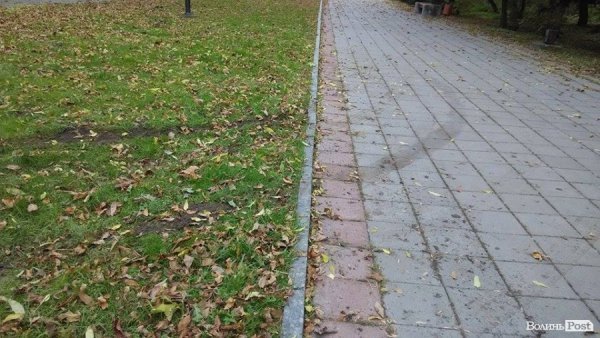 «Автовандали» понищили газон у центральному парку Луцька