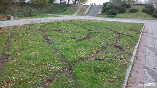 «Автовандали» понищили газон у центральному парку Луцька