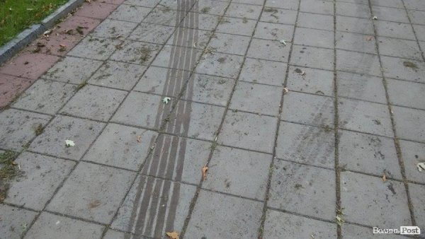 «Автовандали» понищили газон у центральному парку Луцька