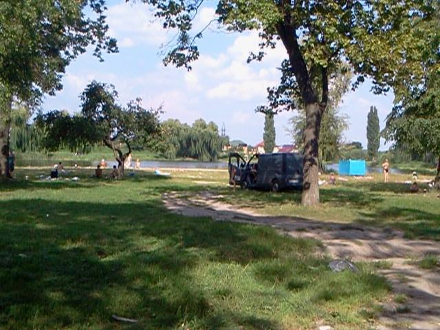 Гори сміття та машини на газонах: у Луцьку скаржаться на необлагороджений ставок. ФОТО