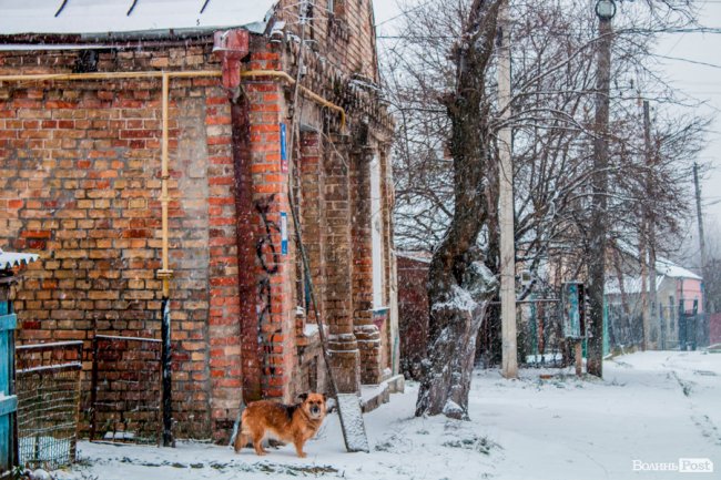 Засніжений Луцьк. ФОТОРЕПОРТАЖ