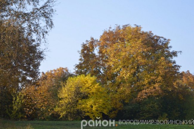 Золота осінь у волинському селі. ФОТО