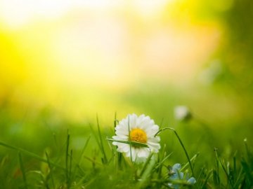 Погода в Луцьку та Волинській області на четвер, 27 травня