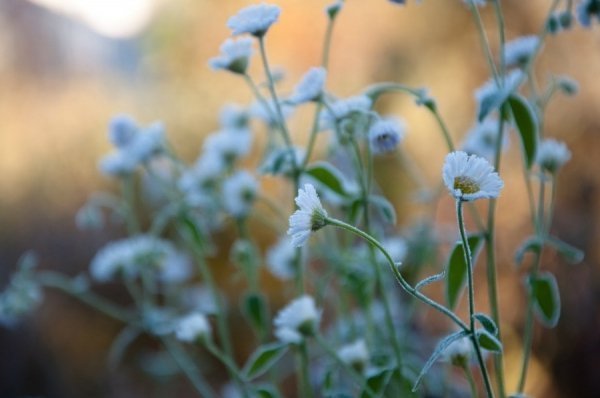 Фотовиставка Василя Охріменка