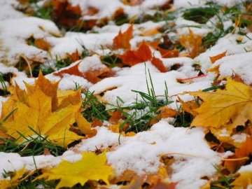 Перший сніг у листопаді та плюсові температури в грудні: прогноз від народного синоптика з Волині