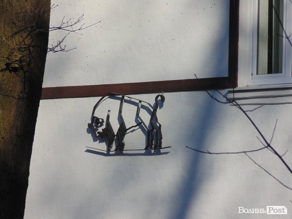 В лісі на Волині знайшли рештки зубра. ФОТО