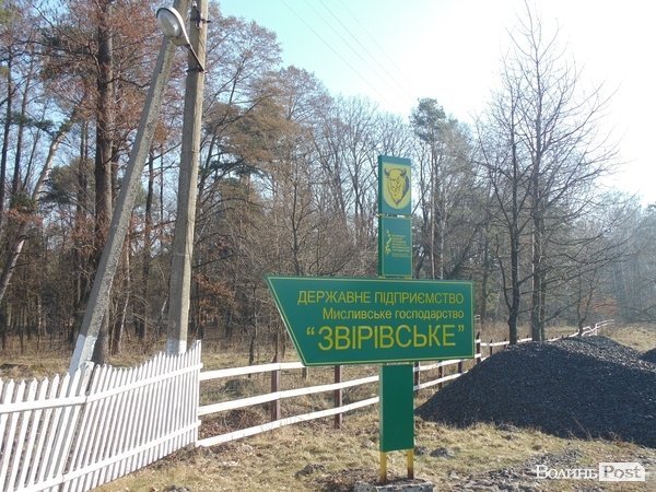 В лісі на Волині знайшли рештки зубра. ФОТО