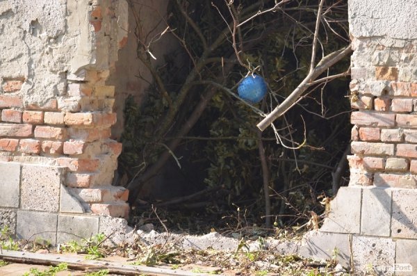 На Теремнівських ставках - скандал.  ФОТО. АУДІО