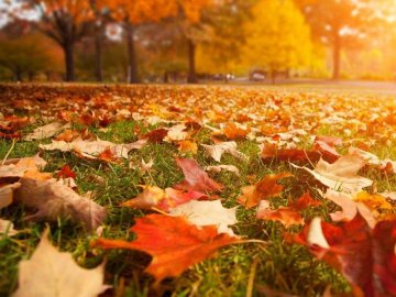 Погода у Луцьку та Волинській області на завтра, 15 вересня