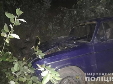 На Волині легковик злетів дороги та врізався у дерево. ФОТО