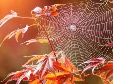 Народний синоптик розповів, якою буде погода у вересні