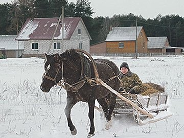 Будні волинського села Януковича