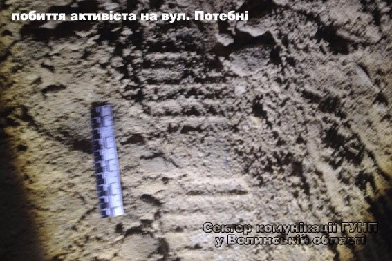 Хто побив громадських активістів у Луцьку. ФОТО