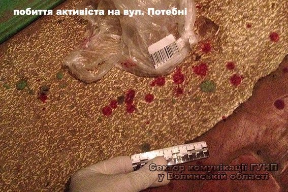 Хто побив громадських активістів у Луцьку. ФОТО