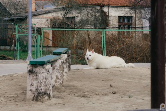 Нова бруківка, відеоспостереження та дитячий майданчик: як змінився двір на Ковельській у Луцьку. ФОТО