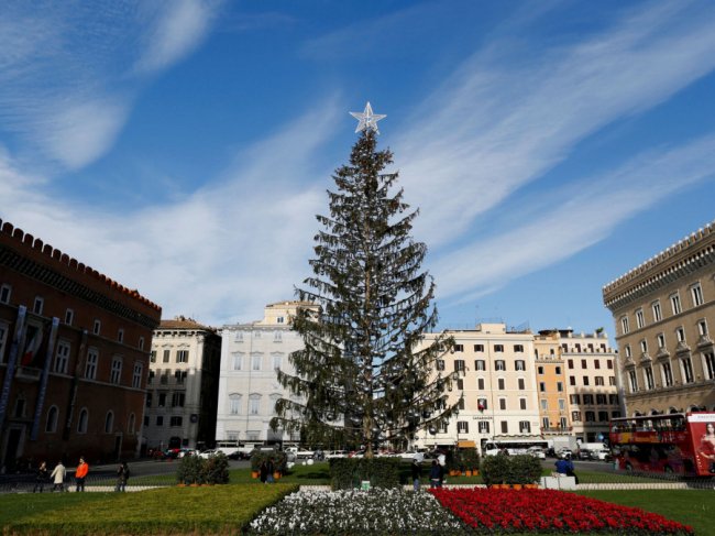 Головна ялинка Італії: «обскубана» і дорога. ФОТО