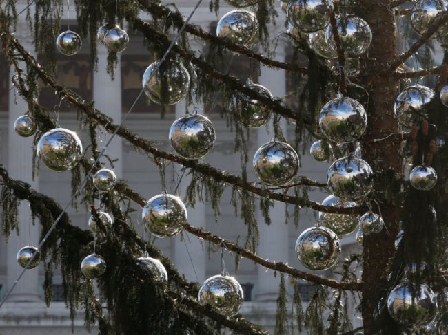 Головна ялинка Італії: «обскубана» і дорога. ФОТО