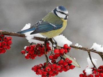 Погода в Луцьку та Волинській області на завтра, 30 грудня