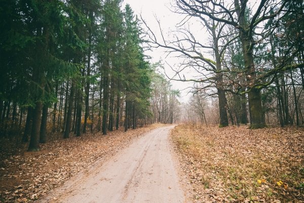 Фотовиставка Олега Гордіюка