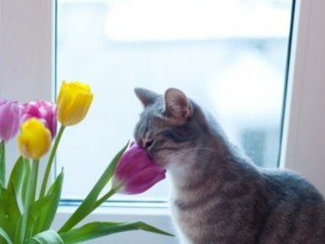 Погода в Луцьку та Волинській області на вівторок, 16 березня