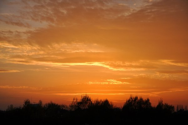 Фотовиставка Тетяни Кірчук. ФОТО