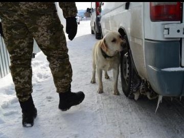 На «Ягодині» вилучили майже 500 пачок сигарет