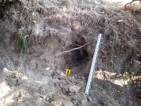 Вбивство через інтим: на Львівщині хлопець задушив дівчину