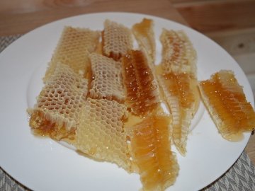 Сотні бджолосімей та тонни меду: про традиції лісників Волині