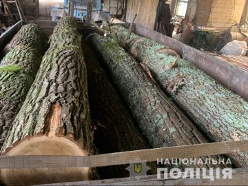 На волинських пилорамах зберігали незаконну деревину. ФОТО