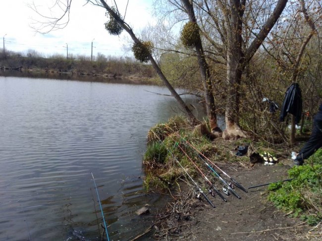 Небайдужий «здав» браконьєрів, які ловили рибу на Стиру у Луцьку. ФОТО