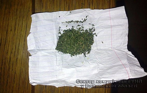 У помешканні лучанина поліція вилучила зброю та наркотики. ФОТО