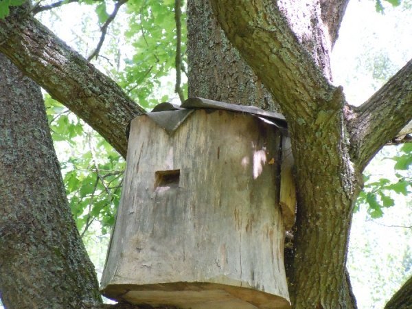 Заповідник Волині відвідав швейцарський вчений. ФОТО