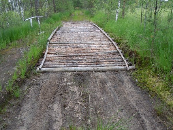 Заповідник Волині відвідав швейцарський вчений. ФОТО